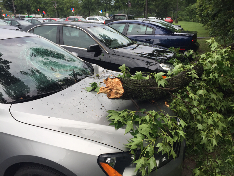 Illustration for article titled Crazy weather + trees + dealer lot = this...